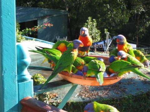 Riviera Bed & Breakfast Gold Coast Esterno foto