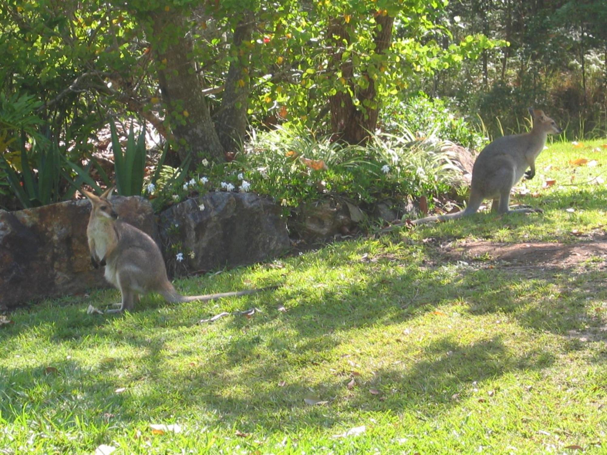 Riviera Bed & Breakfast Gold Coast Esterno foto