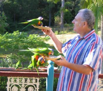 Riviera Bed & Breakfast Gold Coast Esterno foto