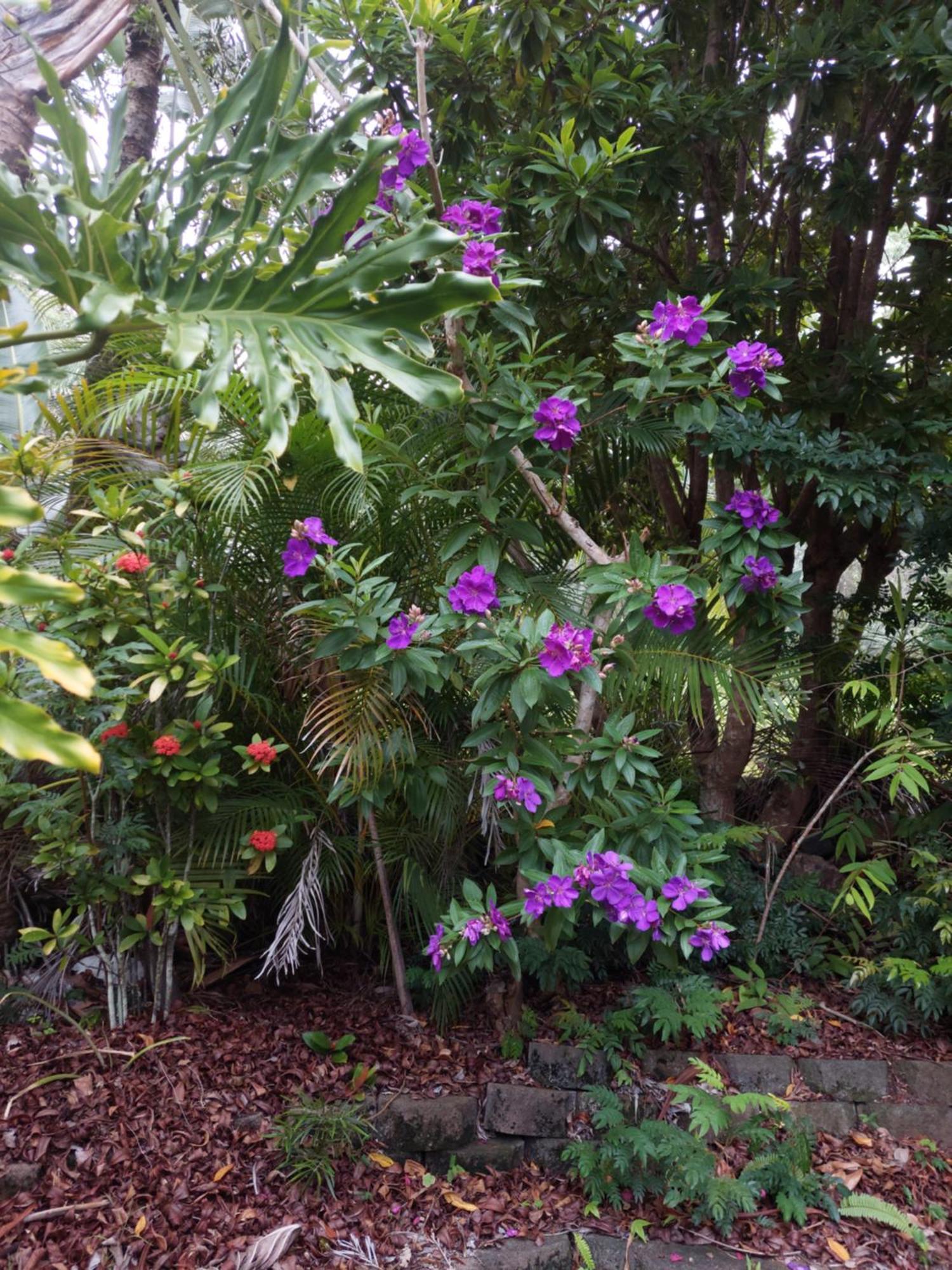 Riviera Bed & Breakfast Gold Coast Esterno foto
